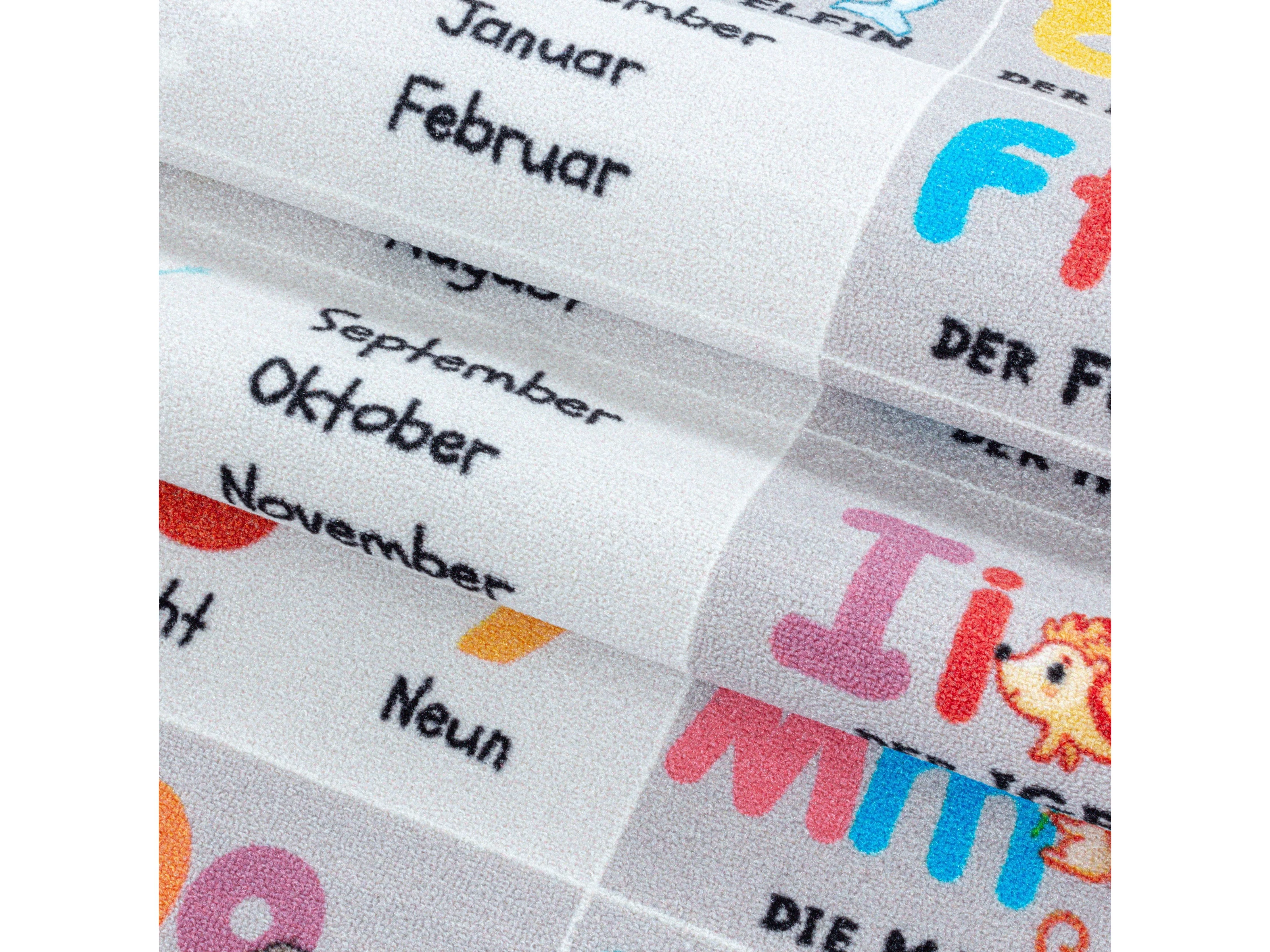 Kurzflor Kinderteppich Spielteppich Teppich Buchstaben Zahlen Jahreszeiten Grau - Image 7